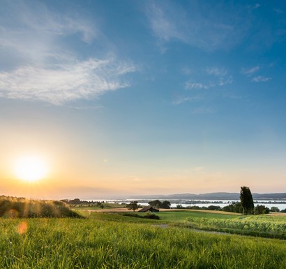 View at Lake Constance